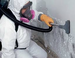 Best Forensic Mold Investigation  in Queens, NY